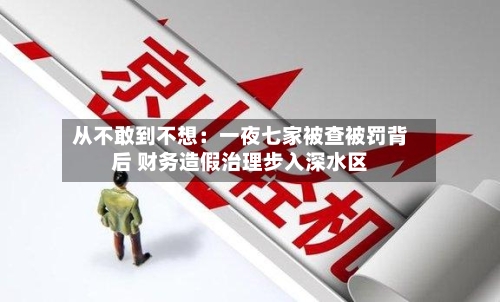 从不敢到不想：一夜七家被查被罚背后 财务造假治理步入深水区