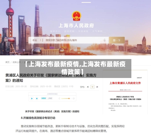 【上海发布最新疫情,上海发布最新疫情政策】-第3张图片