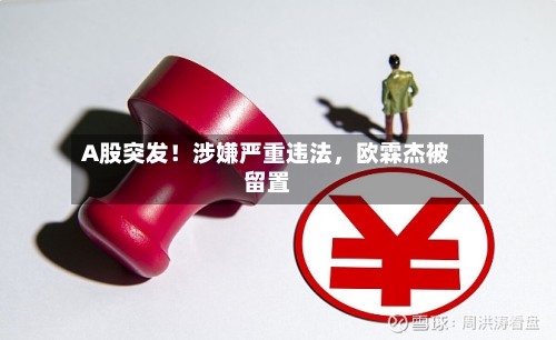 A股突发！涉嫌严重违法，欧霖杰被留置-第2张图片