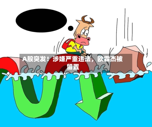 A股突发！涉嫌严重违法	，欧霖杰被留置-第3张图片