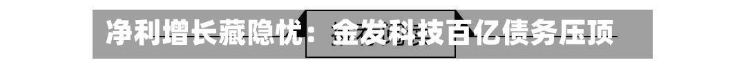 净利增长藏隐忧：金发科技百亿债务压顶