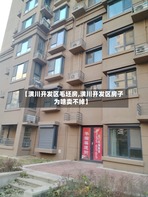 【潢川开发区毛坯房,潢川开发区房子为啥卖不掉】-第2张图片
