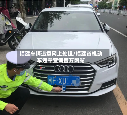 福建车辆违章网上处理/福建省机动车违章查询官方网站-第3张图片