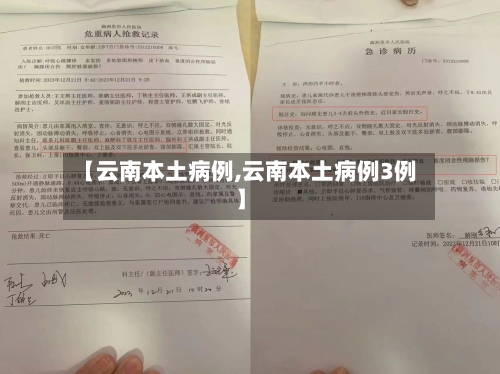 【云南本土病例,云南本土病例3例】