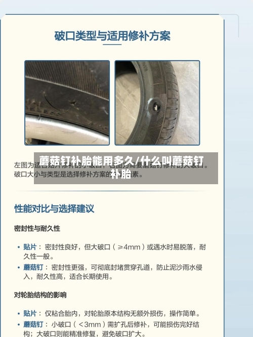 蘑菇钉补胎能用多久/什么叫蘑菇钉补胎