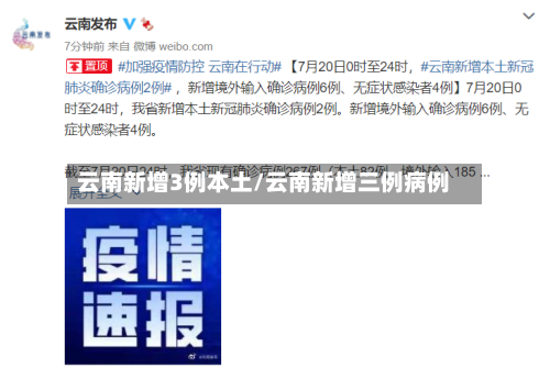 云南新增3例本土/云南新增三例病例-第2张图片
