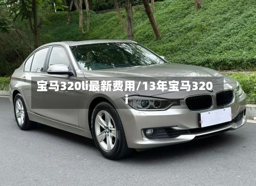 宝马320li最新费用/13年宝马320i-第2张图片