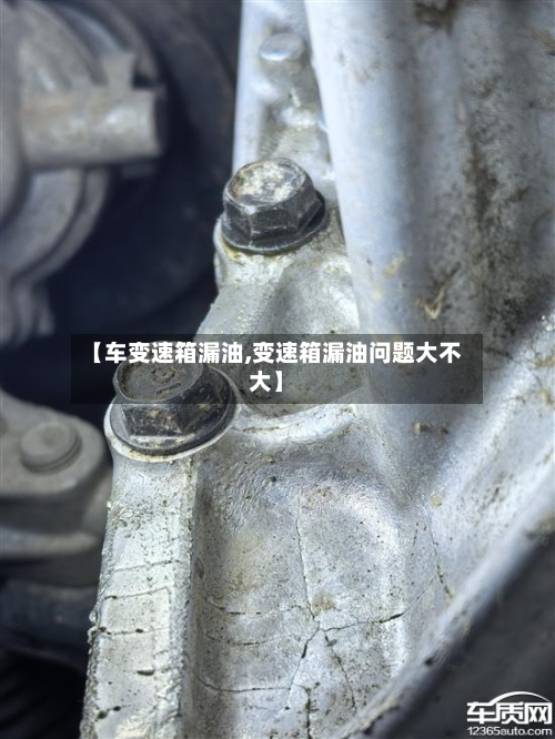 【车变速箱漏油,变速箱漏油问题大不大】