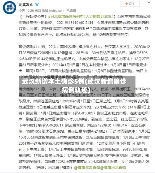 武汉新增本土确诊5例(武汉新增确诊病例轨迹)-第3张图片