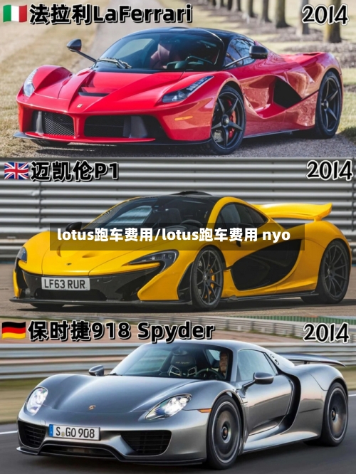 lotus跑车费用/lotus跑车费用 nyo-第2张图片