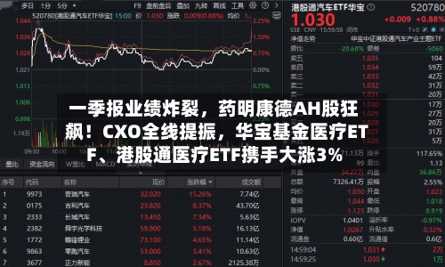 一季报业绩炸裂，药明康德AH股狂飙！CXO全线提振，华宝基金医疗ETF、港股通医疗ETF携手大涨3%-第2张图片