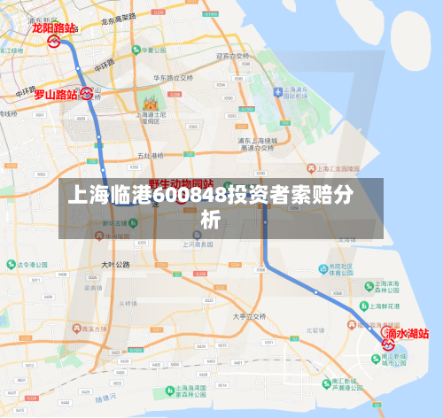 上海临港600848投资者索赔分析