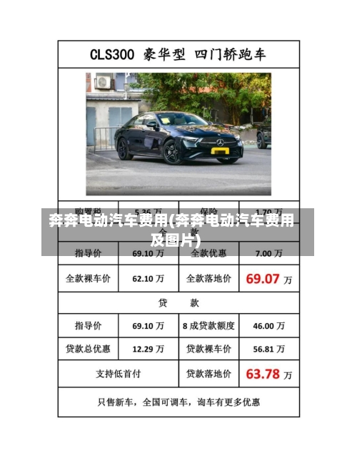 奔奔电动汽车费用(奔奔电动汽车费用及图片)-第3张图片