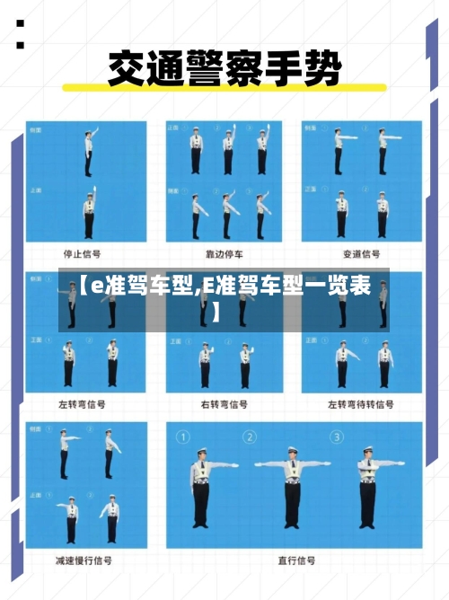 【e准驾车型,E准驾车型一览表】-第3张图片