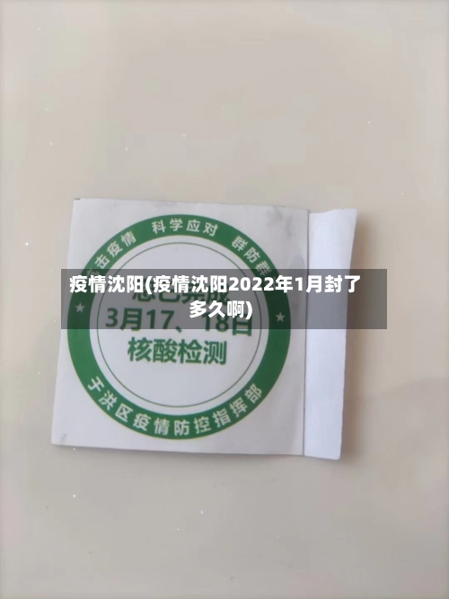 疫情沈阳(疫情沈阳2022年1月封了多久啊)-第2张图片