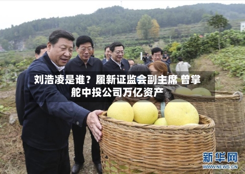 刘浩凌是谁？履新证监会副主席 曾掌舵中投公司万亿资产-第2张图片