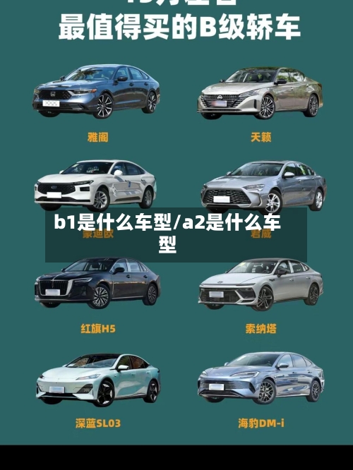 b1是什么车型/a2是什么车型-第2张图片