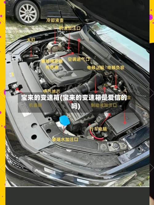 宝来的变速箱(宝来的变速箱是爱信的吗)