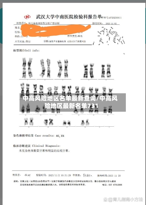 中高风险地区名单最新查询/中高风险地区最新名单731
