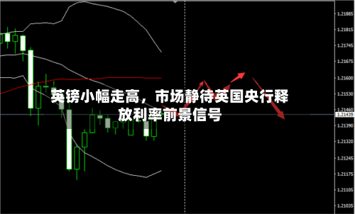 英镑小幅走高	，市场静待英国央行释放利率前景信号-第2张图片