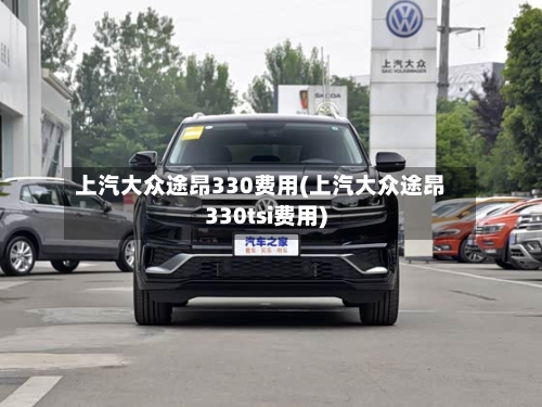 上汽大众途昂330费用(上汽大众途昂330tsi费用)-第2张图片