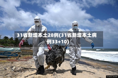 31省新增本土28例(31省新增本土病例33+10)