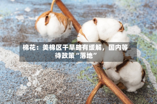 棉花：美棉区干旱略有缓解，国内等待政策“落地	”-第2张图片
