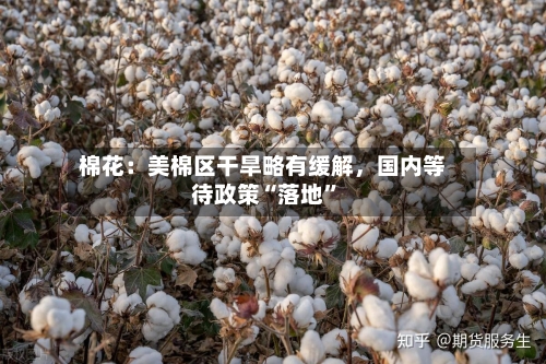 棉花：美棉区干旱略有缓解，国内等待政策“落地”-第3张图片