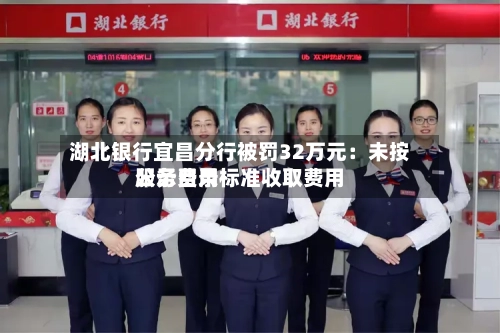 湖北银行宜昌分行被罚32万元：未按服务费用公示目录标准收取费用