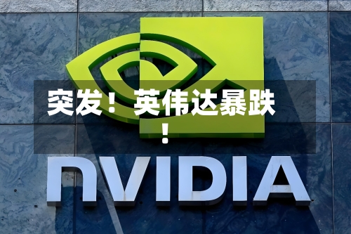 突发！英伟达暴跌！