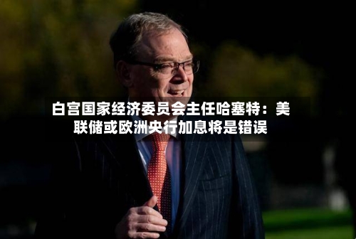 白宫国家经济委员会主任哈塞特：美联储或欧洲央行加息将是错误