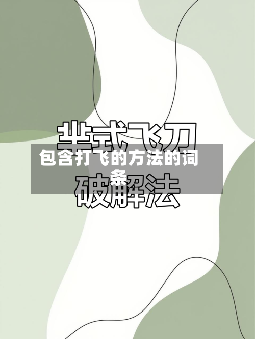 包含打飞的方法的词条-第2张图片