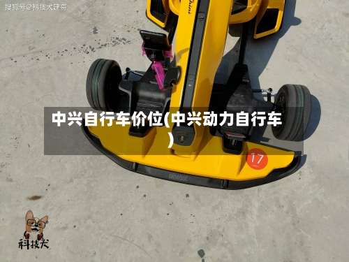 中兴自行车价位(中兴动力自行车)