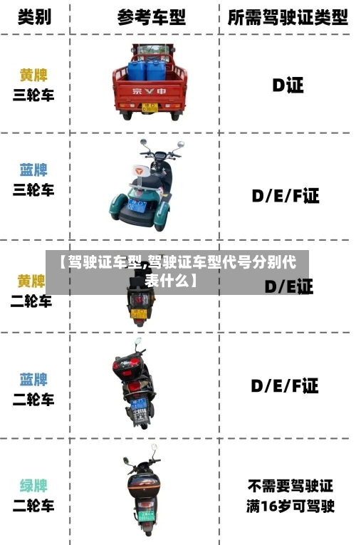 【驾驶证车型,驾驶证车型代号分别代表什么】