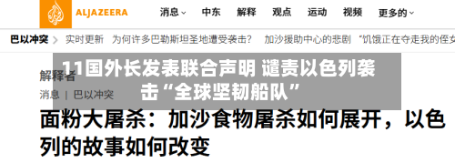 11国外长发表联合声明 谴责以色列袭击“全球坚韧船队”-第2张图片