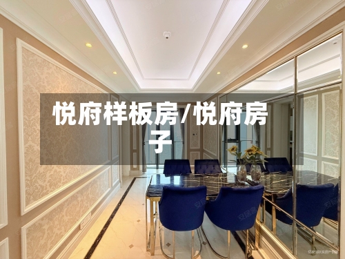 悦府样板房/悦府房子