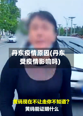 丹东疫情原因(丹东受疫情影响吗)-第2张图片
