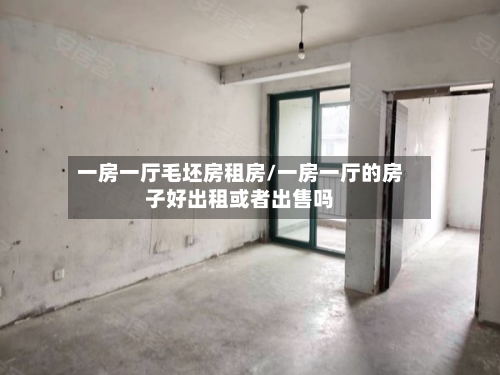 一房一厅毛坯房租房/一房一厅的房子好出租或者出售吗-第2张图片