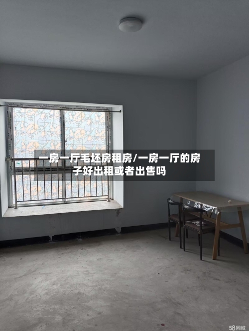 一房一厅毛坯房租房/一房一厅的房子好出租或者出售吗-第1张图片