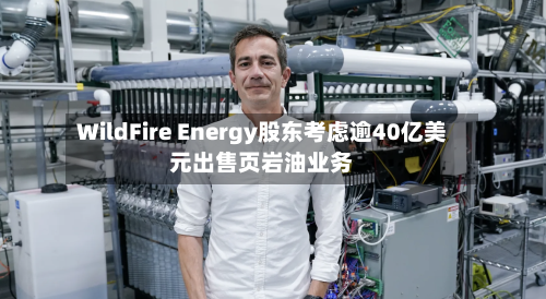 WildFire Energy股东考虑逾40亿美元出售页岩油业务-第2张图片