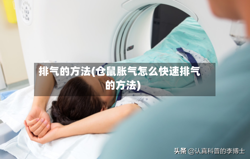 排气的方法(仓鼠胀气怎么快速排气的方法)
