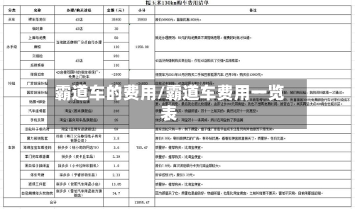 霸道车的费用/霸道车费用一览表