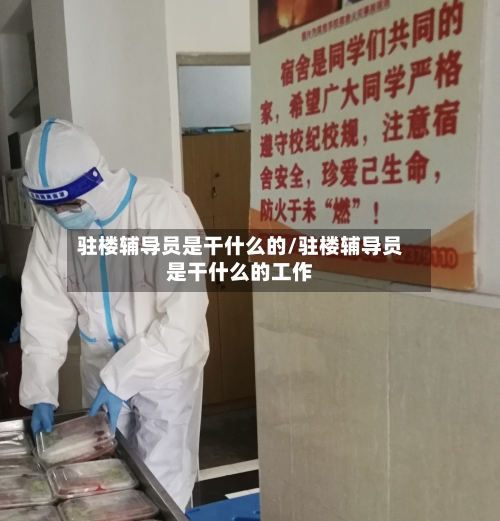 驻楼辅导员是干什么的/驻楼辅导员是干什么的工作-第2张图片