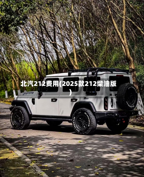北汽212费用(2025款212柴油版)-第2张图片