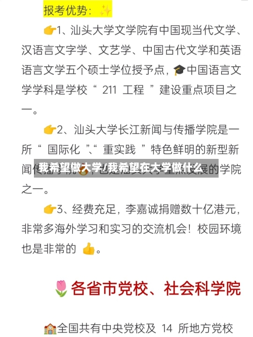 我希望做大学/我希望在大学做什么-第2张图片