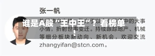谁是A股“王中王”？看榜单！