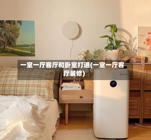 一室一厅客厅和卧室打通(一室一厅客厅装修)-第3张图片