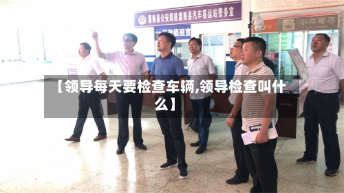 【领导每天要检查车辆,领导检查叫什么】