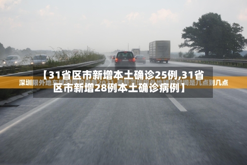 【31省区市新增本土确诊25例,31省区市新增28例本土确诊病例】-第2张图片