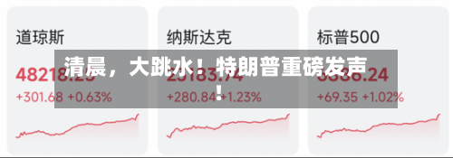 清晨，大跳水！特朗普重磅发声！-第2张图片